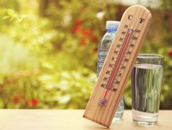 Canicule : les conseils pour supporter la chaleur